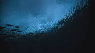 مستند زمین به صورت رنگی قسمت چهارم