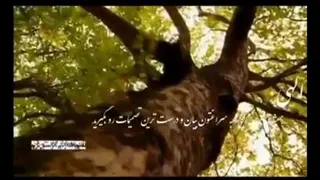 امید و آرزوی خوب