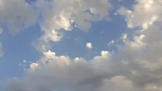 فاطمه ها