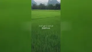 شانس...