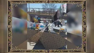 نمایشگاه بانوان کار آفرین