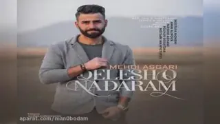 دلشو ندارم