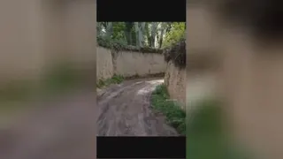 کلاسیک