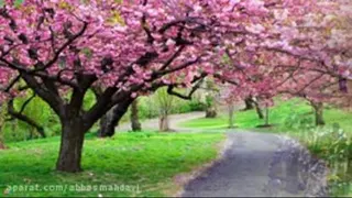 نفس باد صبا