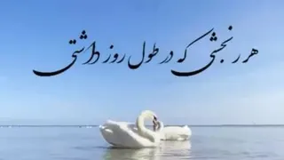 دانستنی درمورداز صبح تاشب هرکس برایت هرکاربدی کرد بنداز تو سطل 🤔🤔🤔🤔