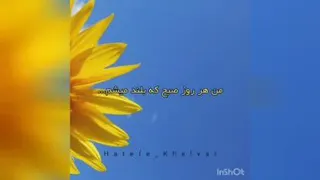 شادباش