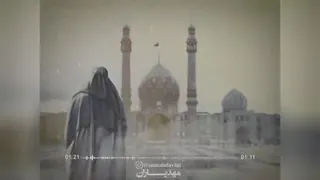 حکایت ماوامام زمان عج