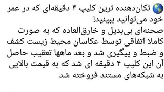 دوستی واقعی پلنگ واهو