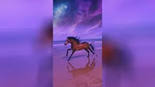آرامش