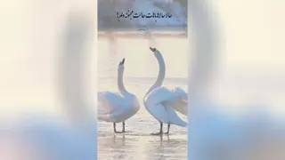 ارزوهای قشنگن براتون آرزو دارم 🥰💖