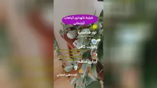 خرید فروش روش دلیل راه شرایط سم کود تقویتی خاک مکمل مناسب پاجوش زدن گل و گیاه خا