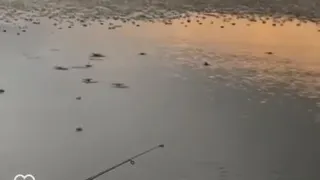 لحظه شروع بارش باران