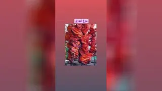 زهرا منتظر رحمت الهی