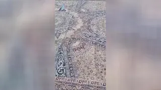 قالیشویی ماندگار قالیشویی قم
