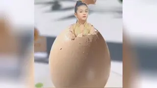 تخم مرغ عالی