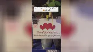 گل قشنگ