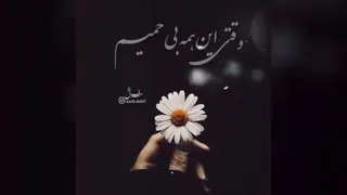 رفاقت گرنباشد صداقت نیست