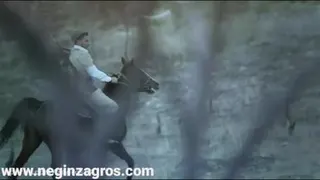 آهنگ کردی