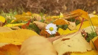 یکم بیشتر به خودت افتخار کن