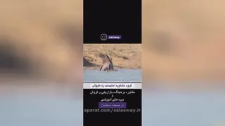 زندگی یک کارآفرین