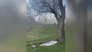 فیلم موسیقی