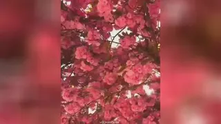 قدرت فقط خداست‌‌!