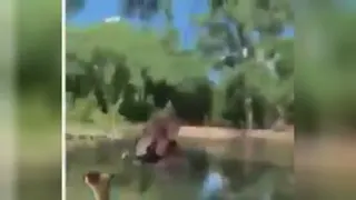باز میگین چرازنا بیشتر عمر میکنن