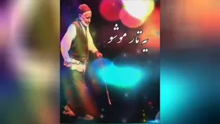 احترام گذاشتن