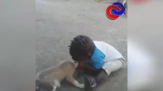 دیدنی ها