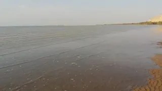 مد دریا
