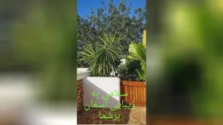 صبح بخیر