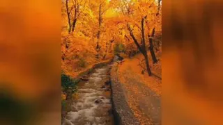 فصل پاییز
