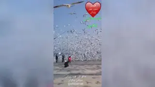 شگفتی خلقت