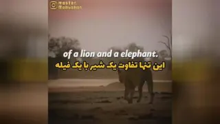 همه چیز در ذهن اتفاق میافته....