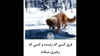 فرق رئیس با لیدر