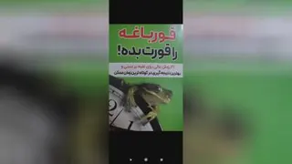 قورباغه را قورت بده