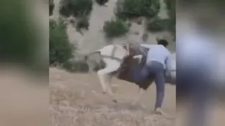 طنز دوبلر