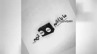سایر