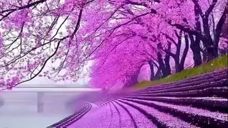 استوری‌طبیعت‌جذاب‌بهار