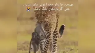 آغوش امن مادر