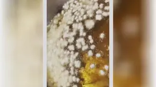 زولبیا بامیه😍