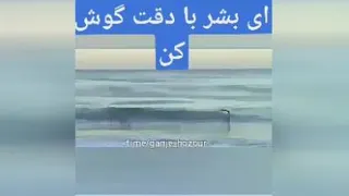 کلیپ عالی
