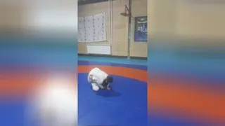 تمرین محمد صدرا