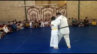 اوگوشی