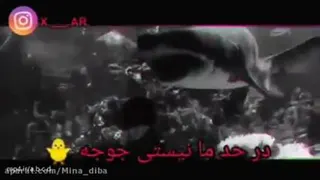 درحد ما نیستی جوجه