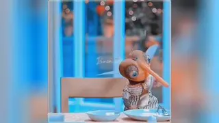 حوصله زن نداره