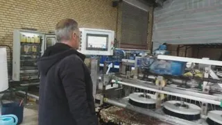 قالیشویی سارای