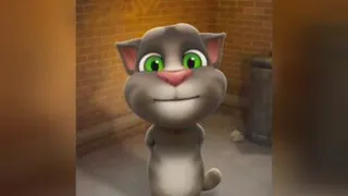تام سخن گو