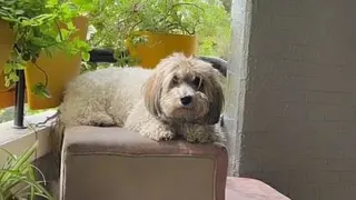 برنامه ی عکاسی خونوادگی‌ ‌🤗🤗🤗💗💜💗