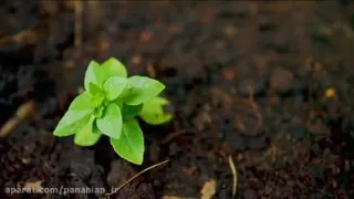 حالت رو همیشه در حال مثبت و خوب نگهداری کن